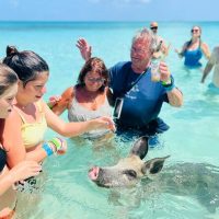 Full-day Tours