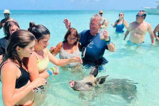 Full-Day Small-Group Tour to Pig Beach in the Bahamas by Powerboat