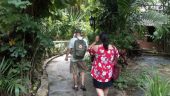 Great walking tour of the city