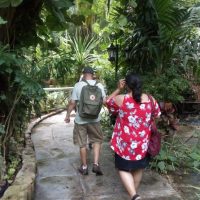 Walking & Biking Tours