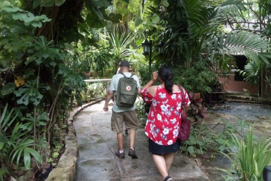 Dilly Dally Walking Tour of Nassau Attractions