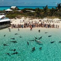 Full-day Tours