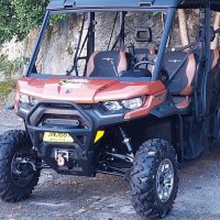 Shore Excursions