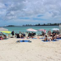 Half-day Tours