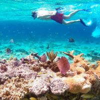 Snorkeling