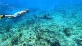 1000/10!! Book the snorkel!!