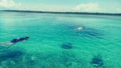 Outstanding time and beautiful 