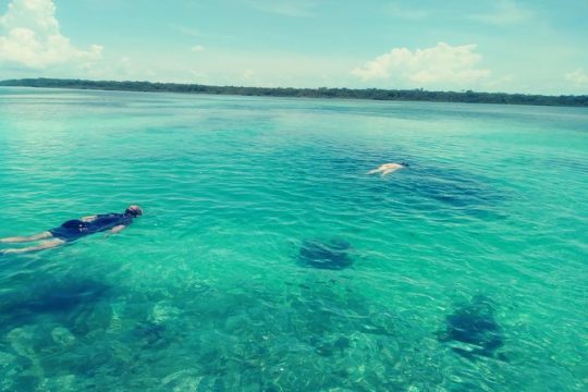 Blue hole snorkeling, and turtle park