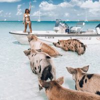 Cruises, Sailing & Water Tours