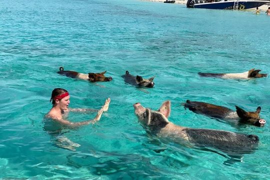 Famous Pink Sand and Pig Experience with Snorkeling