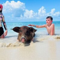 Shore Excursions