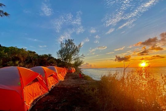 Camping Experience in Paradise