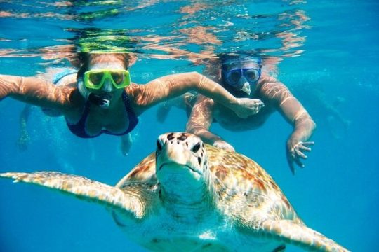 Nas 3 stops! Aquatic Tour, Snorkel 2 Reefs,Turtle View!