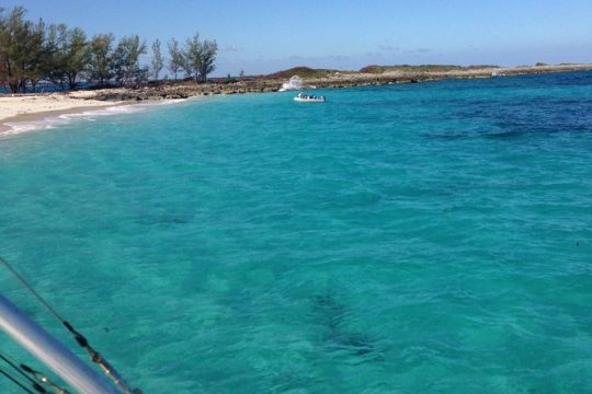 Half Day Snorkeling Tour in the Bahamas