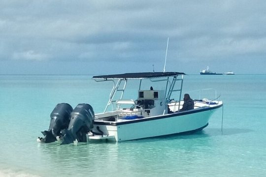 Private 4 hour Rose Island tour snorkeling fishing