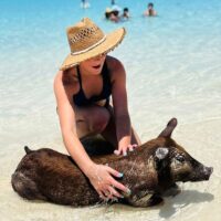 Shore Excursions