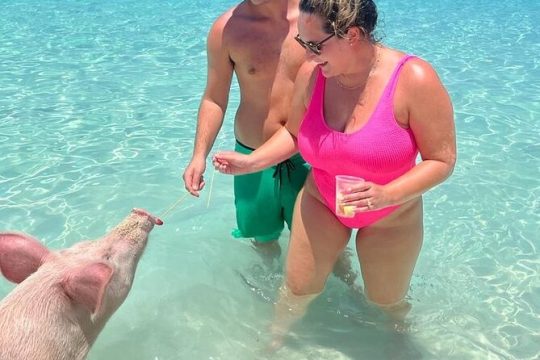 007 Swimming with Pigs Tour on Rose Island