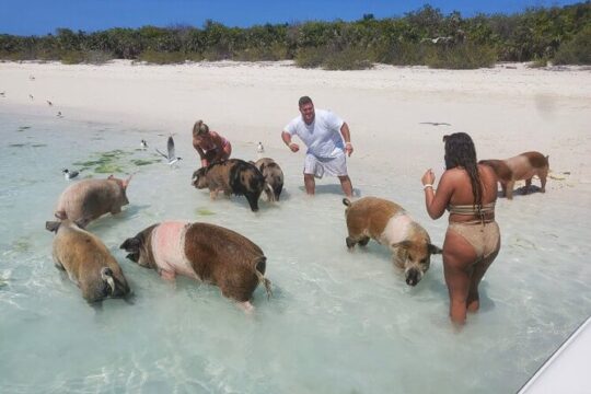Swim with the Pigs and Explore Caves in Nassau