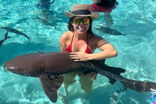 *Authentic Swimming Pigs Tour*Shark Encounter*Feed Iguanas*