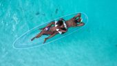 Very Nice Pics