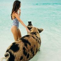 Day Trips & Excursions