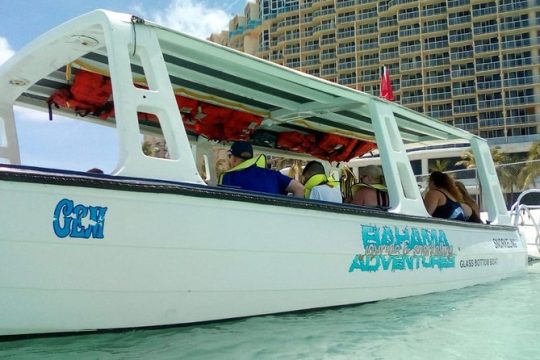Glass Bottom Boat & Snorkelling Tour Bundle