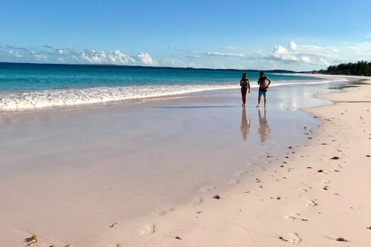 Full-Day Harbour Island Pink Sand & Swimming Pigs from Nassau