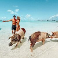 Full-day Tours