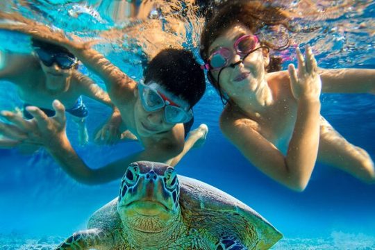 Swimming Pigs, Turtles, Pink Sand Beaches & Snorkeling to Spanish Wells