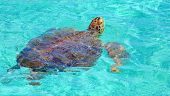 Best fishing/ snorkeling charter ever!!