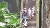 Tour of Nassau/Paradise island 