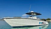 Snorkeling, stopping at an island , and picking up another family member.