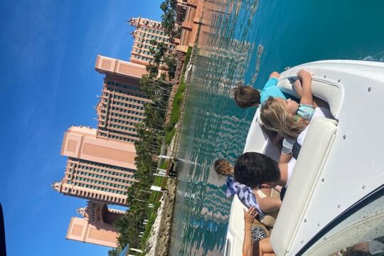 Half-Day Luxury Private Rose Island Pigs and Turtles Excursion