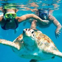 Holiday & Seasonal Tours