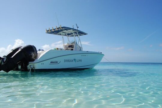 Half-Day 27ft Dream Life Private Fishing Charter in Nassau