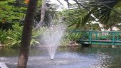 Relaxing Freeport Tour with Garden Serenity