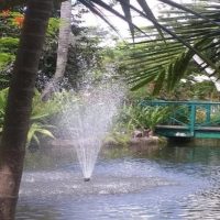 Cultural Tours
