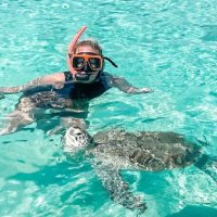 Full-day Tours