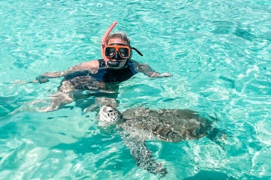 Famous Pink Sand and Pig Experience with Snorkeling