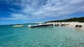 Great family trip out to Rose Island