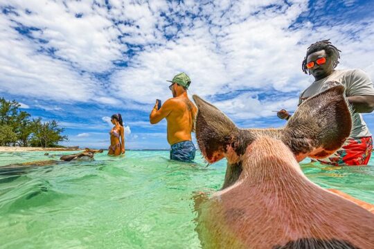 SunCay Swimming Pigs Adventure with Lunch at Pigs Beach
