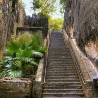 Cultural Tours