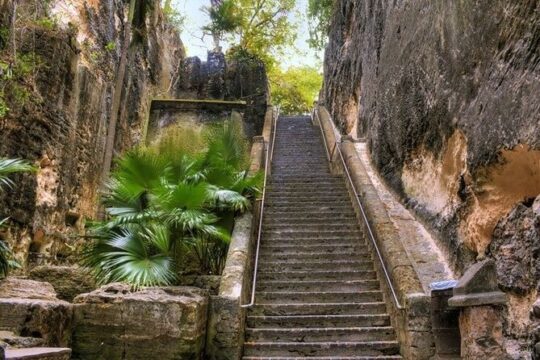 Private Guided Island Tour Nassau & Paradise Island