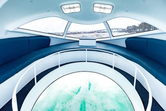 Semi Submersive Glass Bottom Boat Eco Tour in Paradise Island Bahamas