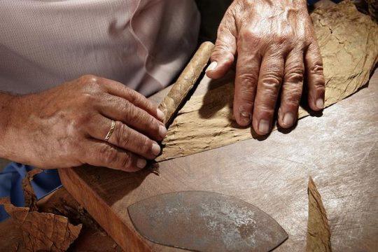 Cigar Rolling Lesson in Nassau