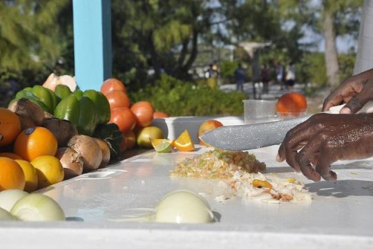 Conch Salad Cooking Lesson and Tasting in Nassau