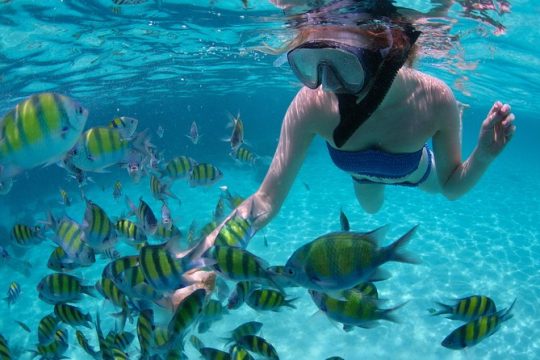 Freeport Snorkeling Peterson Cay National Park and Hotel Day Pass