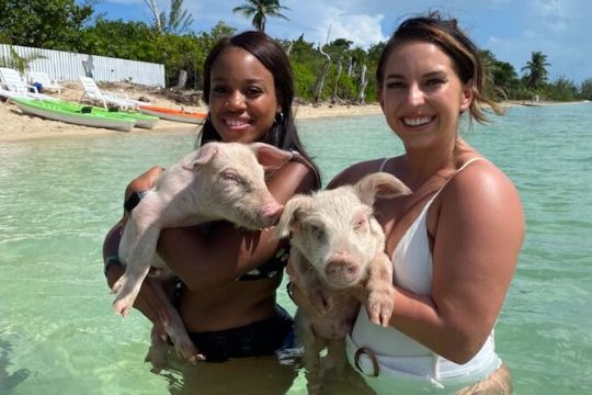 Swim with the Pigs and Explore Caves in Nassau