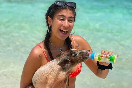 Pearl Island Swimming Pigs & Beach Adventure