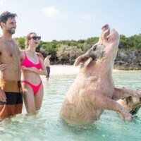 Day Trips & Excursions